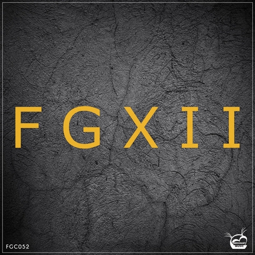 VA - FGXII (12th Years Anniversary) [FGC052]